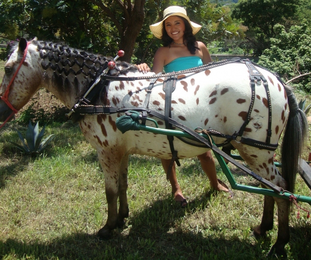 Andção a cavalo 